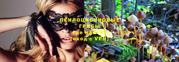 apvp Белоозёрский