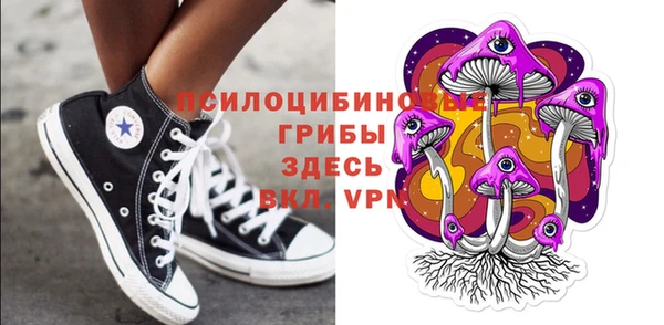 метадон Белокуриха