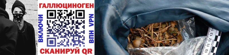 дарнет шоп  Жирновск  Галлюциногенные грибы Psilocybine cubensis 